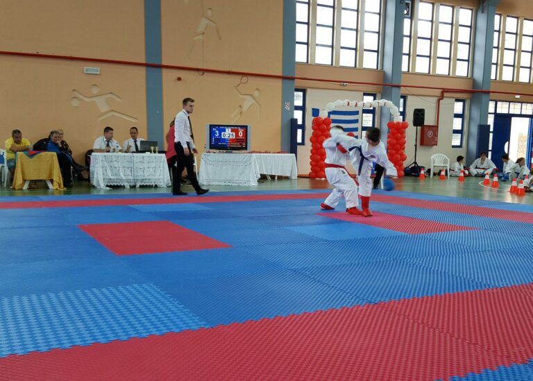 Κοινή προπονητική αθλητική ημερίδα στο Καπανδρίτι – Απρίλιος 2016