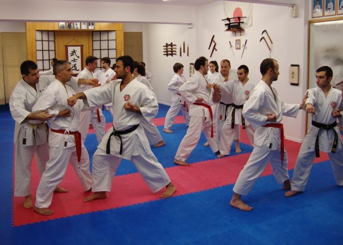 Κοινή προπόνηση dojo στην Αθήνα – Φεβρουάριος 2010
