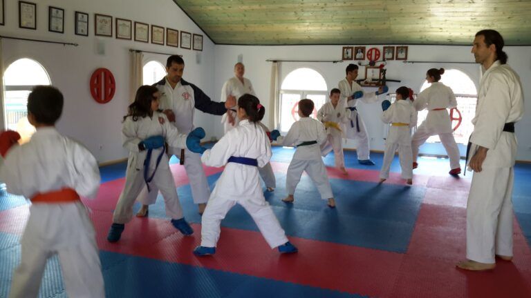 Σεμινάριο Kumite & Εξετάσεις Εγχρώμων ζωνών στην Κέρκυρα – Απρίλιος 2015